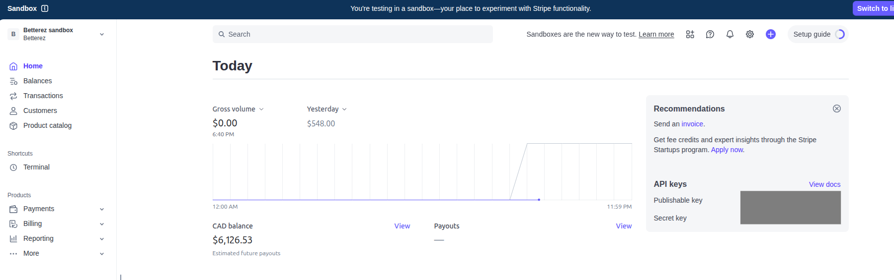 Stripe dashboard